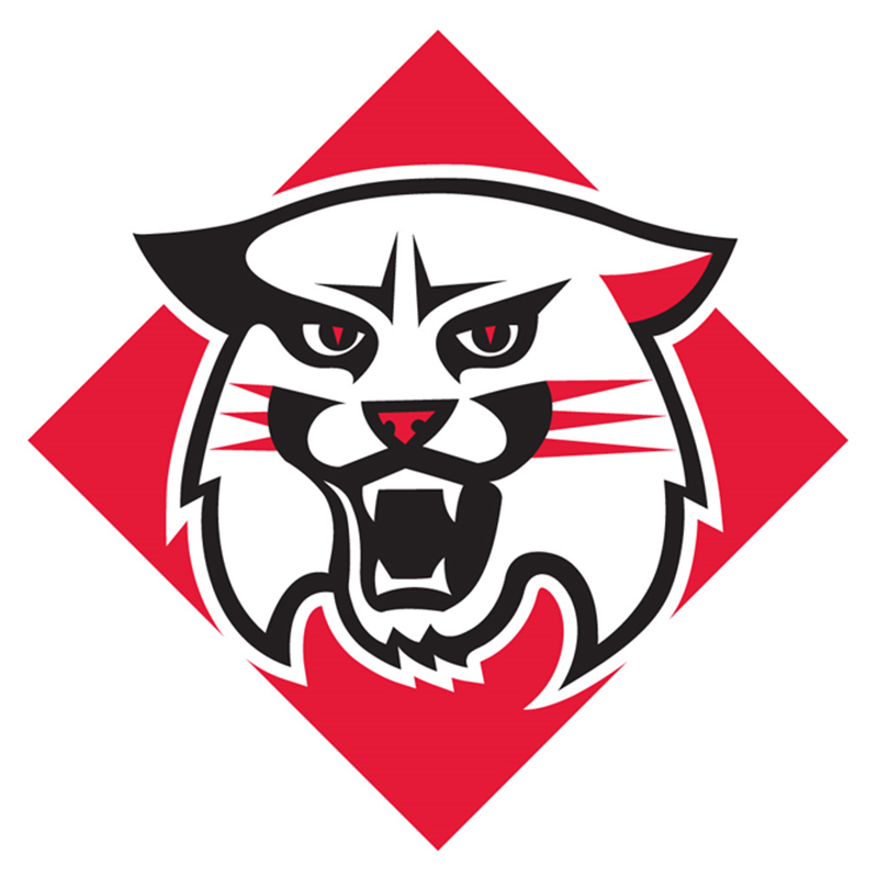 Davidson Wildcats iron ons